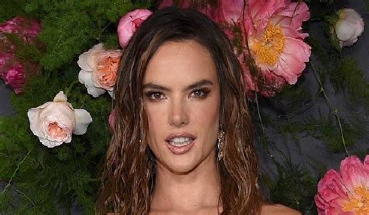 Alessandra Ambrosio in Two-Piece Workout Gear Shares Gym Selfie