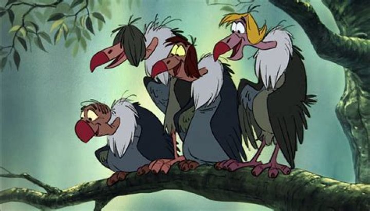 Are there vultures in Dumbo? – Celebrity