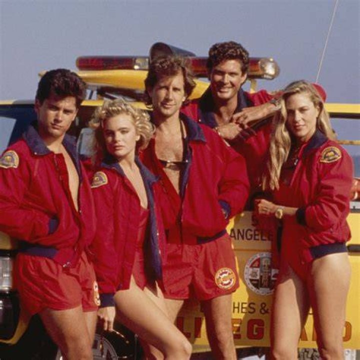 Baywatch's Donna D'Errico in Bathing Suit Makes 54 Look Like 34 — Celebwell