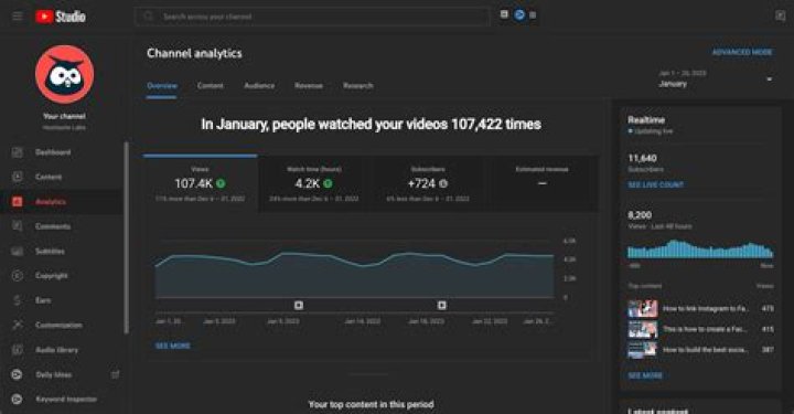Cachicha TV video statistics