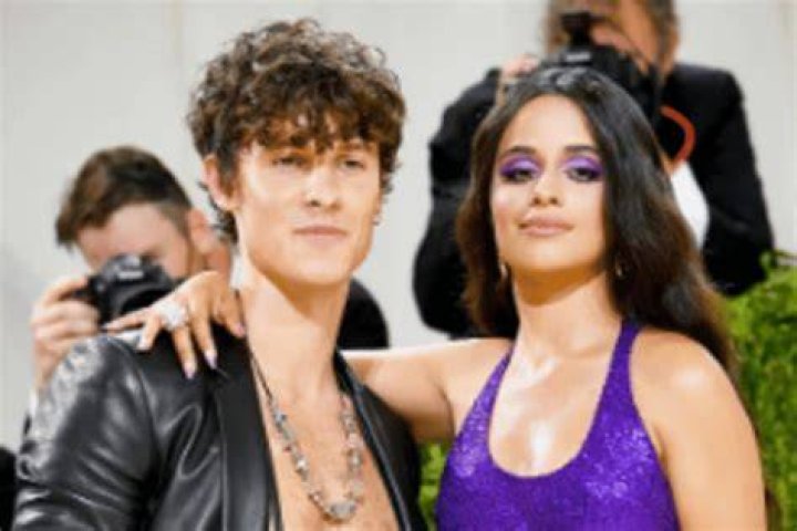 Camila Cabello Mistook One Of The Voice Contestants For Her Ex, Shawn Mendes