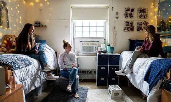 Damiano Rotolo Obituary, Visitation and Funeral, Ursinus College student