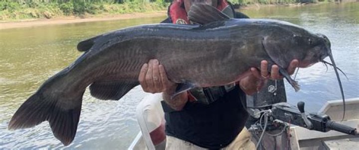 Darwin Reyes of Kansas City, found dead in the Kansas River near Kaw, What Happened