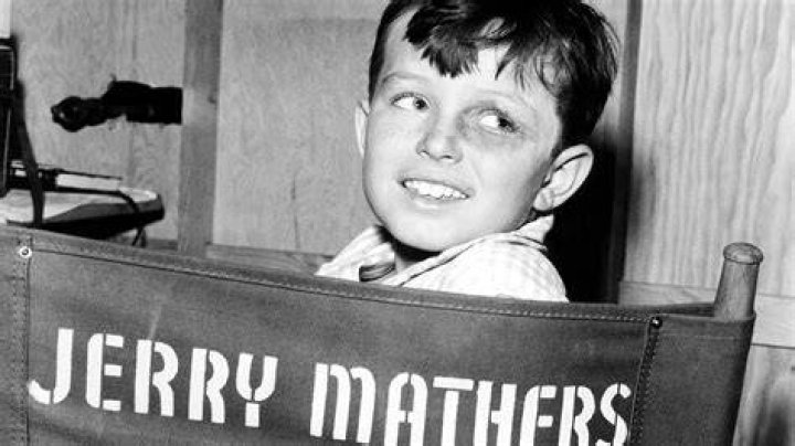 Did Jerry Mathers get married? – Celebrity