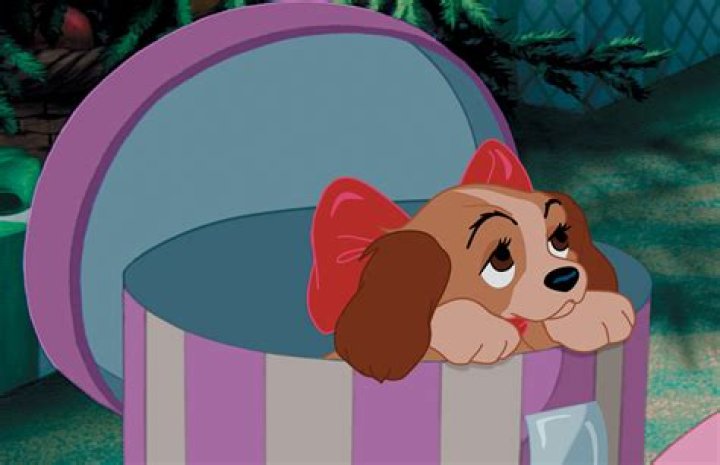 Did Lady and the Tramp have puppies? – Celebrity