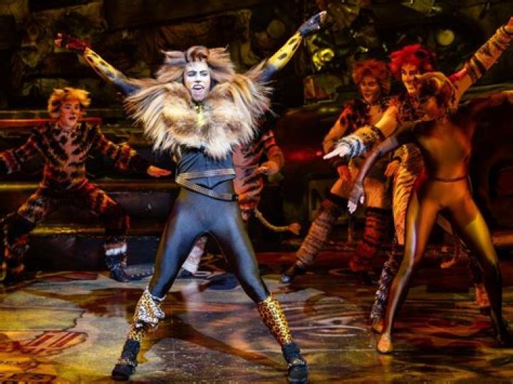 Did Tim Curry ever play Rum Tum Tugger? – Celebrity