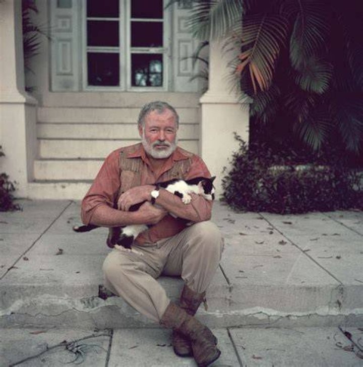 Does Ernest Hemingway Have Any Great Grandchildren? – Celebrity