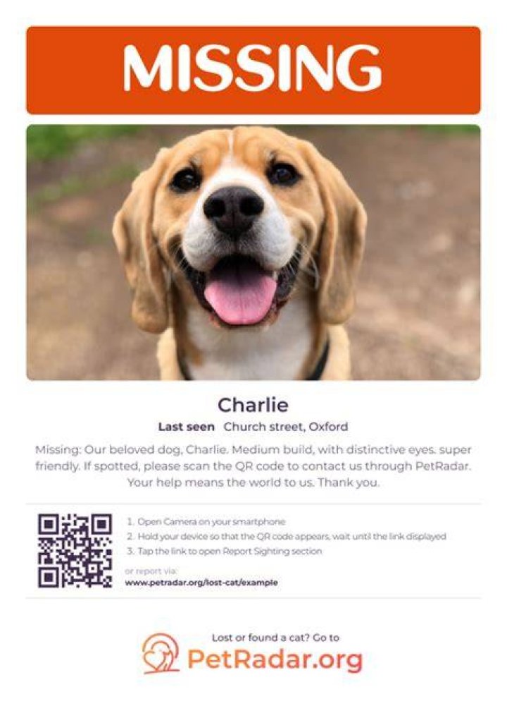 Help Find MISSING Krzysztof Szubert, 21, from Poland; last seen in River North