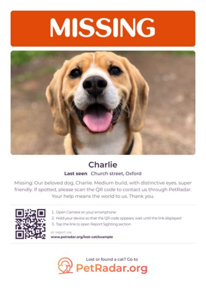 Help Find Missing Lily Wing