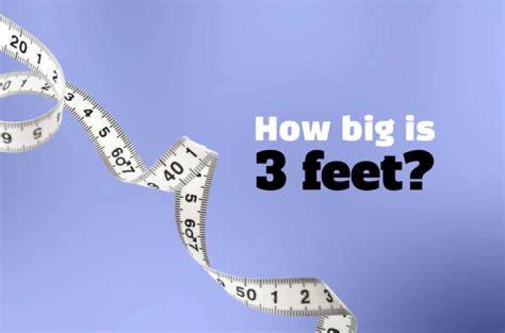 How big is the AT-at? – Celebrity