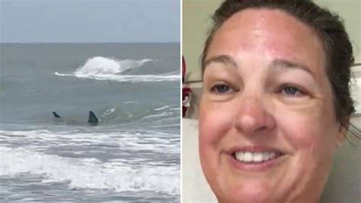 How Did Kimon Bisogno Die? Fernando Pizzas Owner Attacked By Shark