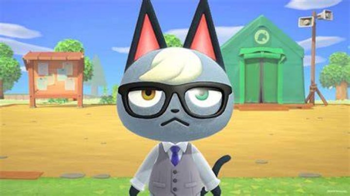 How Do People Sell Raymond In Animal Crossing? – Celebrity