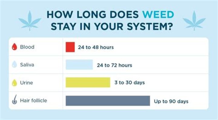 How Long Does It Take To Be Approved On Raya? – Celebrity