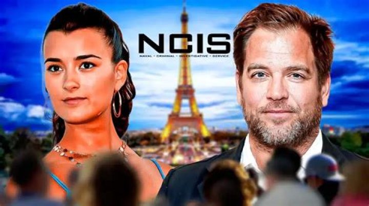 
How Much Money Does Cote De Pablo Make? Latest Income Salary
