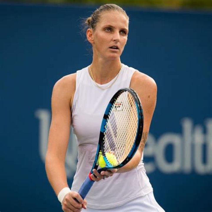 
How Much Money Does Karolína Plíšková Make? Latest Income Salary
