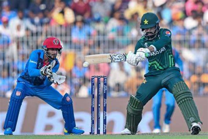 Is Cricket Green human? – Celebrity