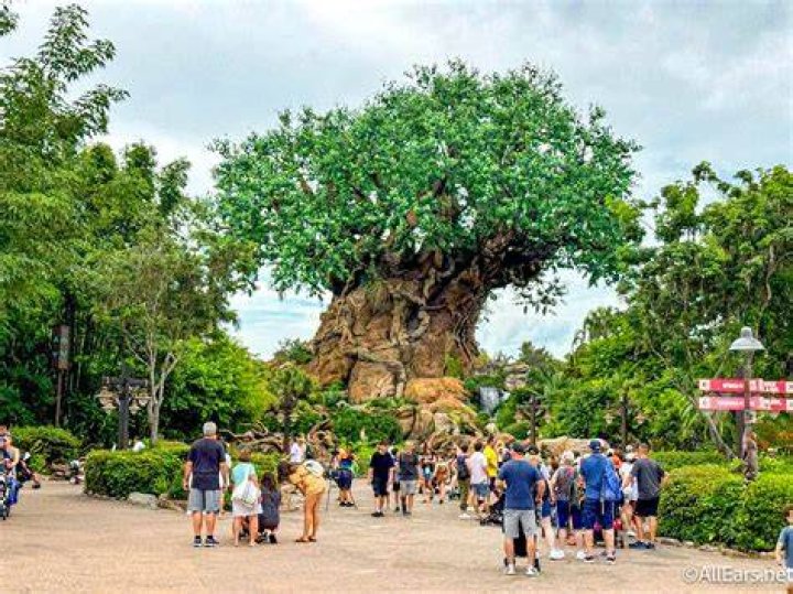 Is Disney getting rid of Animal Kingdom? – Celebrity