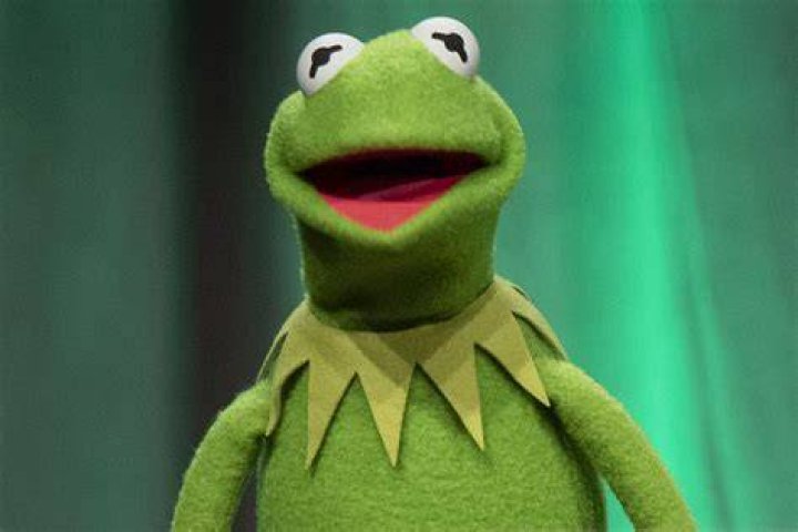 Is Kermit The Dog Dead? – Celebrity