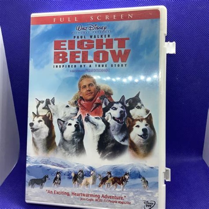 Is movie Eight Below a true story? – Celebrity