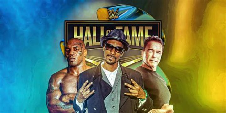 Is Vince Papale in the Hall of Fame? – Celebrity