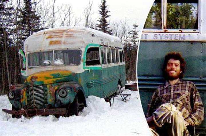 Is Wild a true story? – Celebrity