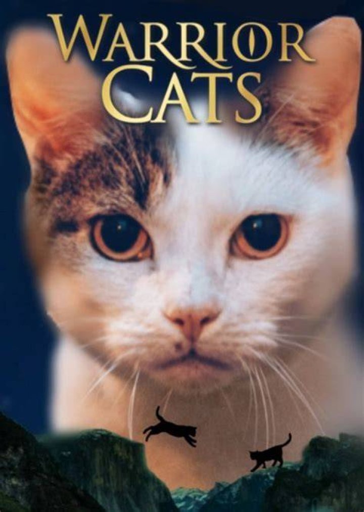 Jason Derulo Admits He Thought Cats Movie Would Be His Big Break