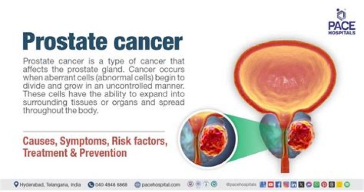 Louis van Gaal health: What disease does he have? Prostrate cancer explained