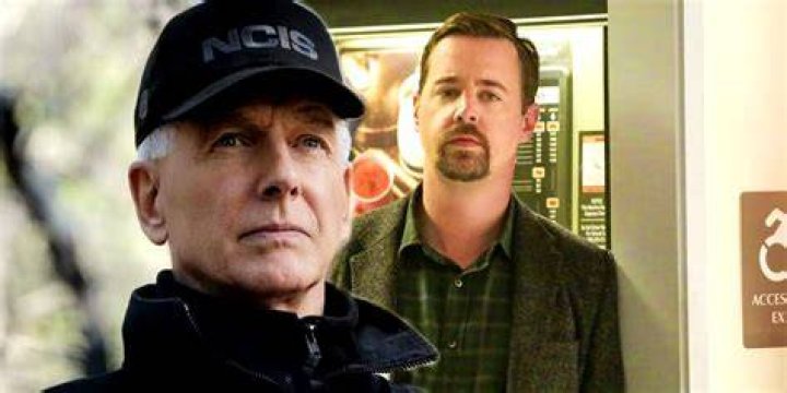 NCIS Star Sean Murray Reveals What It Is Really Like Working With Mark Harmon Everyday