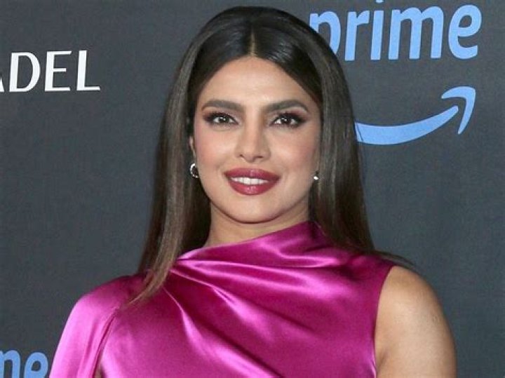 Priyanka Chopra Sunbathes in Swimsuit Photo Saying "Happy New Year"