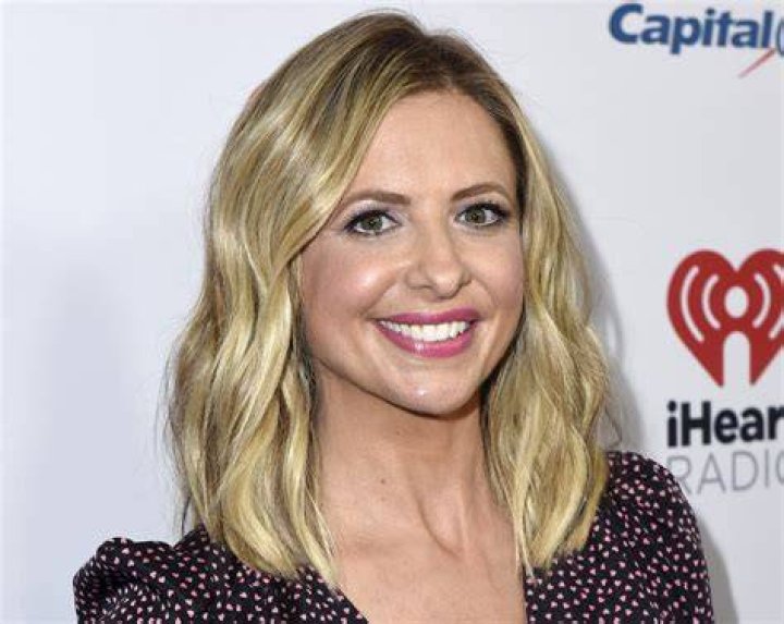 Sarah Michelle Gellar in Bathing Suit Has “The Most Fun”  — Celebwell