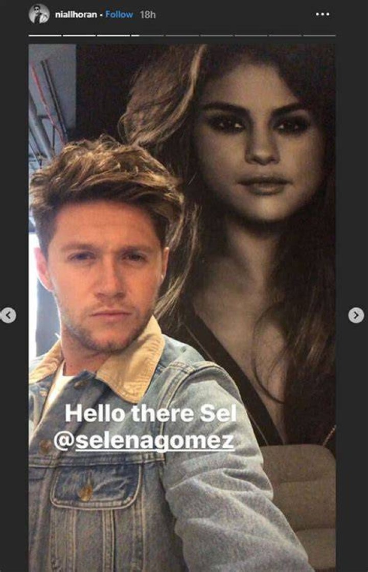 Selena Gomez And Niall Horan Dating? – The Truth!