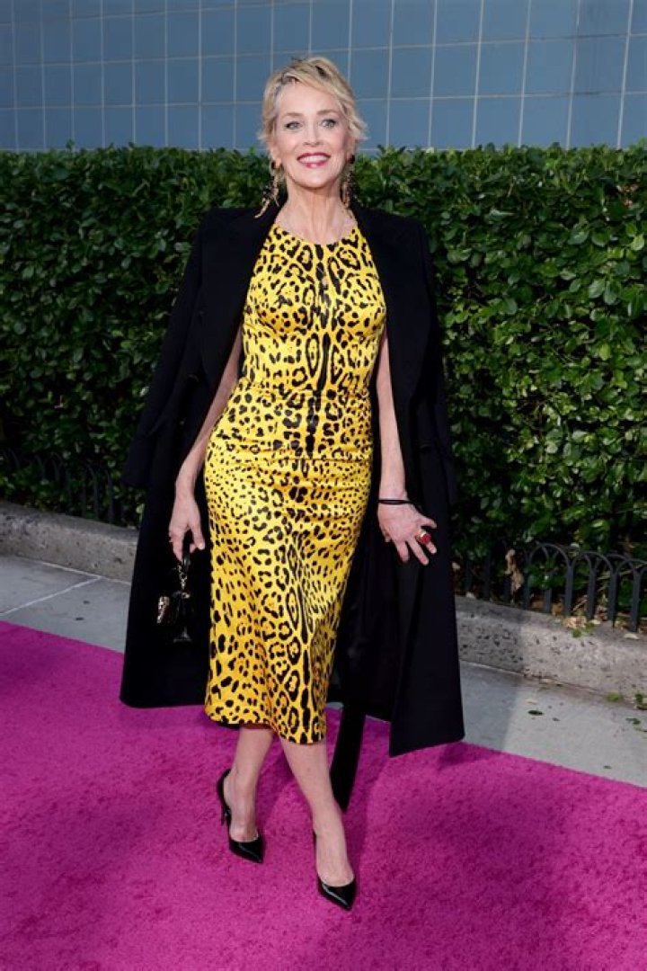 Sharon Stone in Swimsuit Practices "Self-Care" — Celebwell