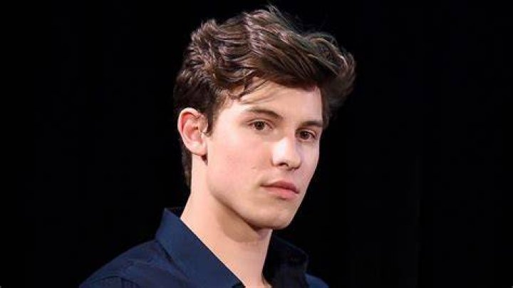 Shawn Mendes Thinks ‘It’s Hurtful’ People Keep Questioning His Sexuality – Wants Them To Stop!