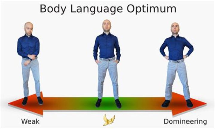 The Body Language Guy video statistics