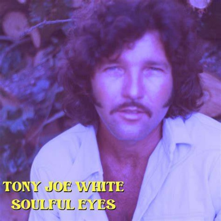 Tony Joe White Biography - Facts, Childhood, Family Life & Achievements