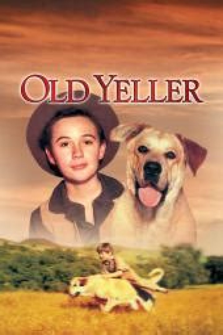 Was Old Yeller a true story? – Celebrity
