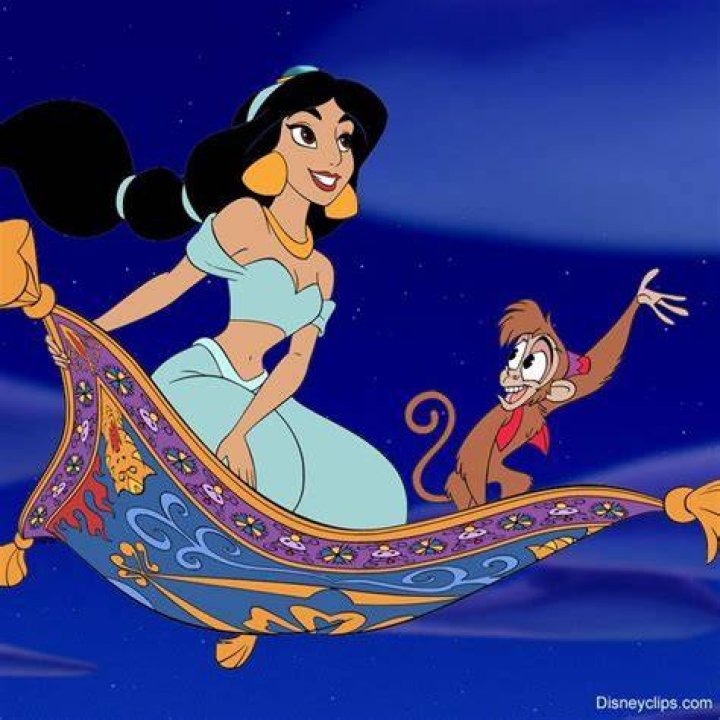 What does Aladdin give Jasmine on the carpet ride? – Celebrity