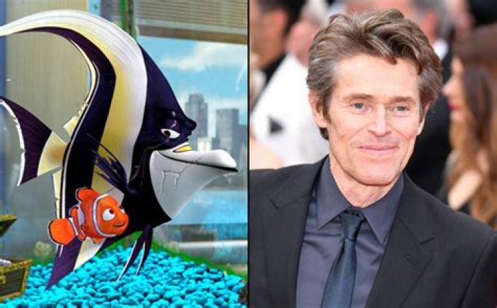 What happened to the angel fish in Finding Nemo? – Celebrity