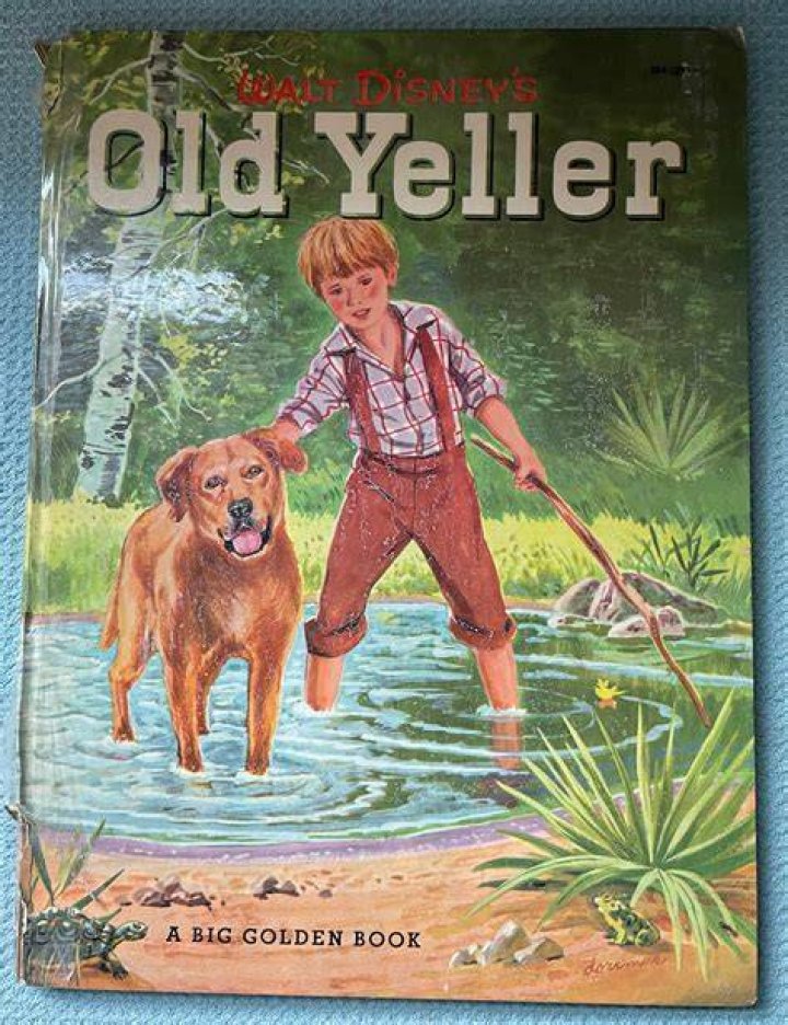 What happens at the end of Old Yeller? – Celebrity