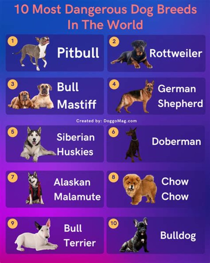 What is Oliver’s dogs name? – Celebrity