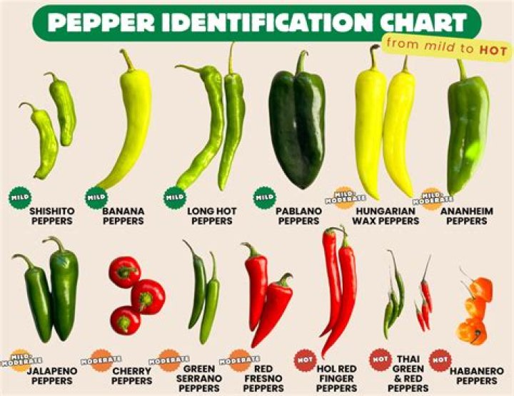 What is Pepper’s last name in Annie? – Celebrity