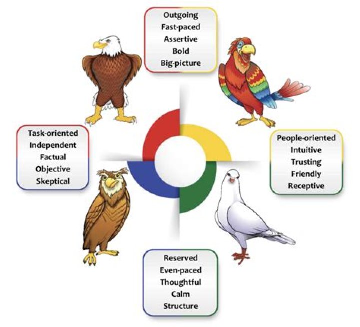 What is the personality of an owl? – Celebrity
