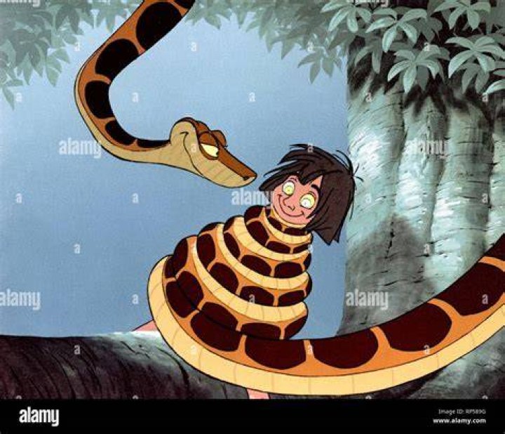 What’s the snake’s name in The Jungle Book? – Celebrity