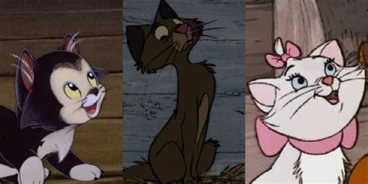 What was the cats name in Cinderella? – Celebrity