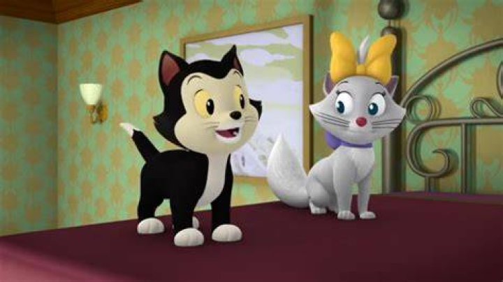 When did Figaro become Minnie’s cat? – Celebrity