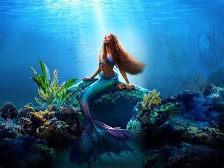 Where does Ariel live under the sea? – Celebrity