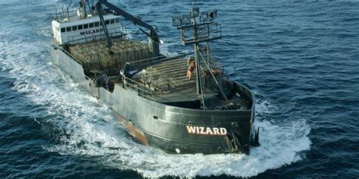 Where Is The Fv Wizard Now? – Celebrity
