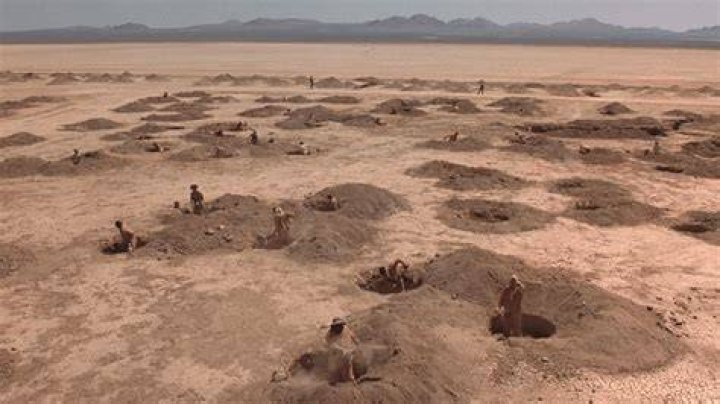 Where was Movie Holes filmed? – Celebrity