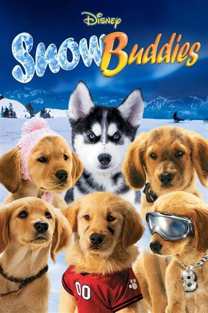 Which puppies died in Snow Buddies? – Celebrity