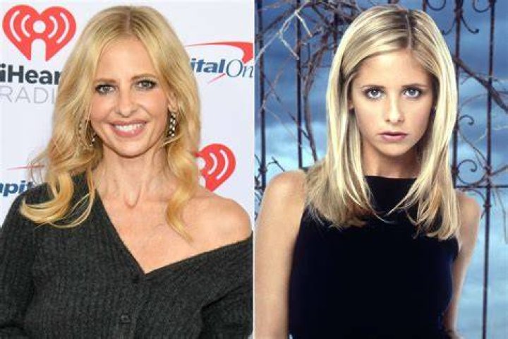 Who is Sarah Chalke married to? – Celebrity